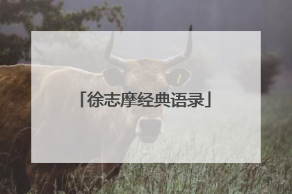 徐志摩经典语录