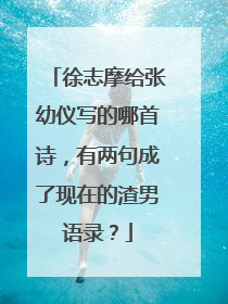徐志摩给张幼仪写的哪首诗,有两句成了现在的渣男语录?