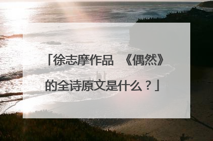 徐志摩作品 《偶然》 的全诗原文是什么？