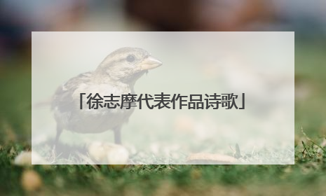 徐志摩代表作品诗歌