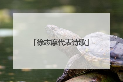 徐志摩代表诗歌