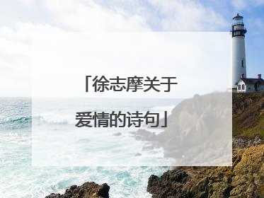 徐志摩关于爱情的诗句