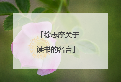 徐志摩关于读书的名言