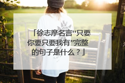 徐志摩名言“只要你要只要我有”完整的句子是什么?