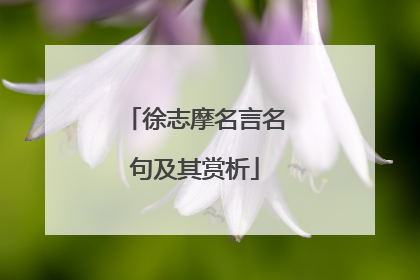 徐志摩名言名句及其赏析