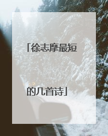 徐志摩最短的几首诗