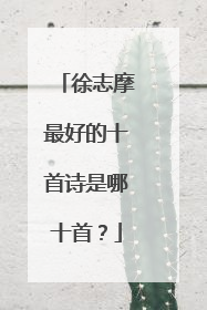 徐志摩最好的十首诗是哪十首?