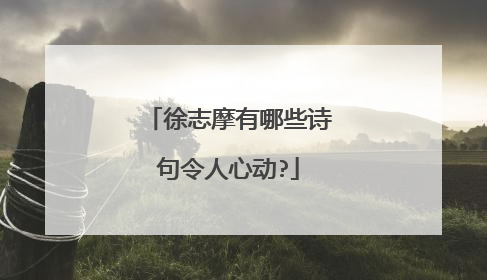 徐志摩有哪些诗句令人心动?