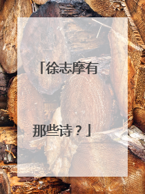 徐志摩有那些诗?