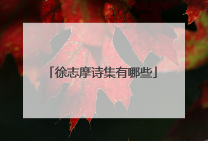 徐志摩诗集有哪些