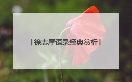 徐志摩语录经典赏析