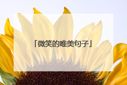 微笑的唯美句子