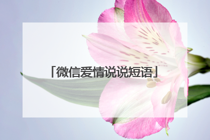 微信爱情说说短语