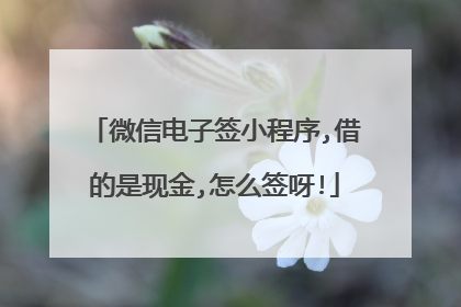 微信电子签小程序,借的是现金,怎么签呀!