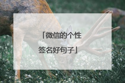 微信的个性签名好句子