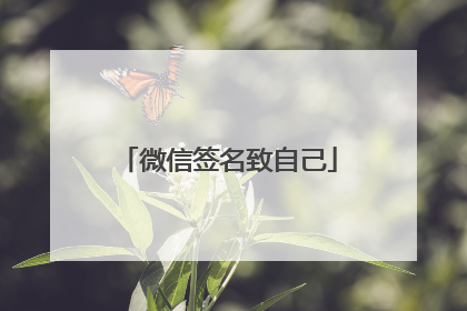 微信签名致自己
