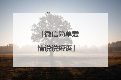 微信简单爱情说说短语