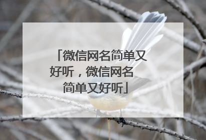 微信网名简单又好听，微信网名 简单又好听