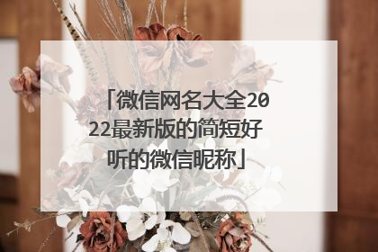 微信网名大全2022最新版的简短好听的微信昵称