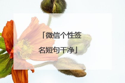 微信个性签名短句干净