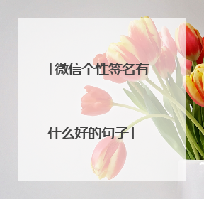 微信个性签名有什么好的句子