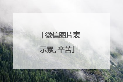 微信图片表示累,辛苦