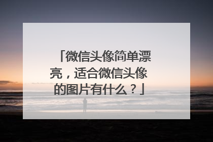 微信头像简单漂亮,适合微信头像的图片有什么?