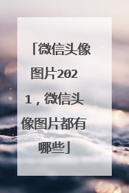 微信头像图片2021,微信头像图片都有哪些