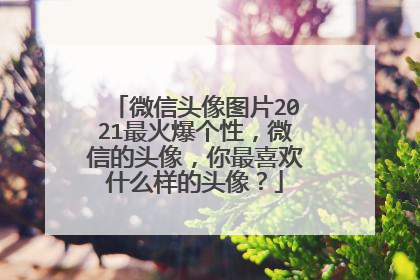 微信头像图片2021最火爆个性,微信的头像,你最喜欢什么样的头像?
