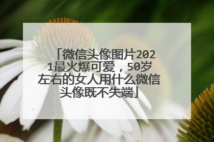 微信头像图片2021最火爆可爱，50岁左右的女人用什么微信头像既不失端