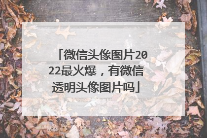 微信头像图片2022最火爆,有微信透明头像图片吗