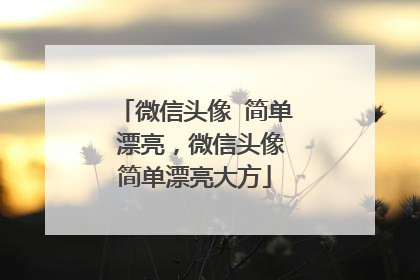 微信头像 简单 漂亮,微信头像简单漂亮大方