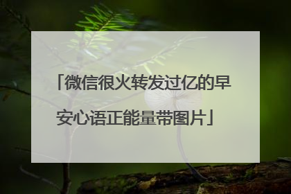 微信很火转发过亿的早安心语正能量带图片