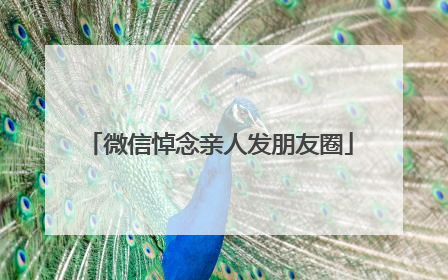 微信悼念亲人发朋友圈