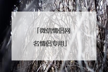 微信情侣网名情侣专用
