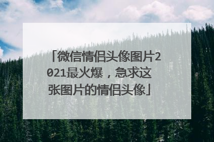 微信情侣头像图片2021最火爆,急求这张图片的情侣头像