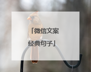 微信文案经典句子