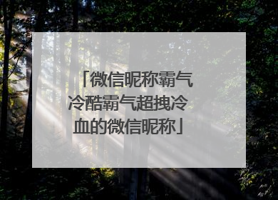 微信昵称霸气冷酷霸气超拽冷血的微信昵称
