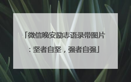 微信晚安励志语录带图片:坚者自坚,强者自强