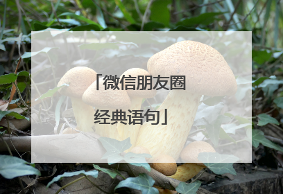 微信朋友圈经典语句