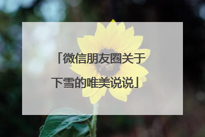 微信朋友圈关于下雪的唯美说说