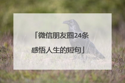 微信朋友圈24条感悟人生的短句