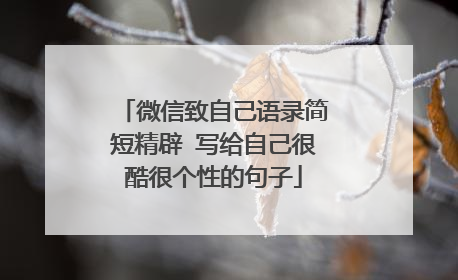 微信致自己语录简短精辟 写给自己很酷很个性的句子