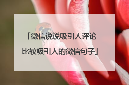 微信说说吸引人评论 比较吸引人的微信句子