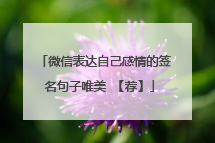 微信表达自己感情的签名句子唯美 【荐】
