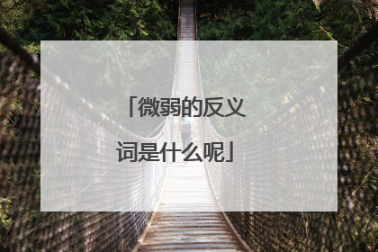 微弱的反义词是什么呢