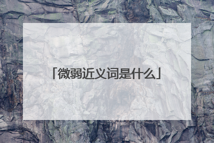 微弱近义词是什么