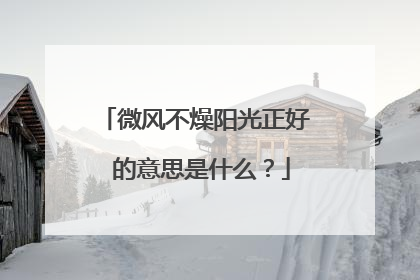 微风不燥阳光正好 的意思是什么？