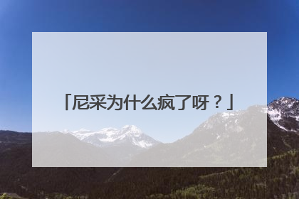 尼采为什么疯了呀？
