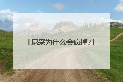 尼采为什么会疯掉?